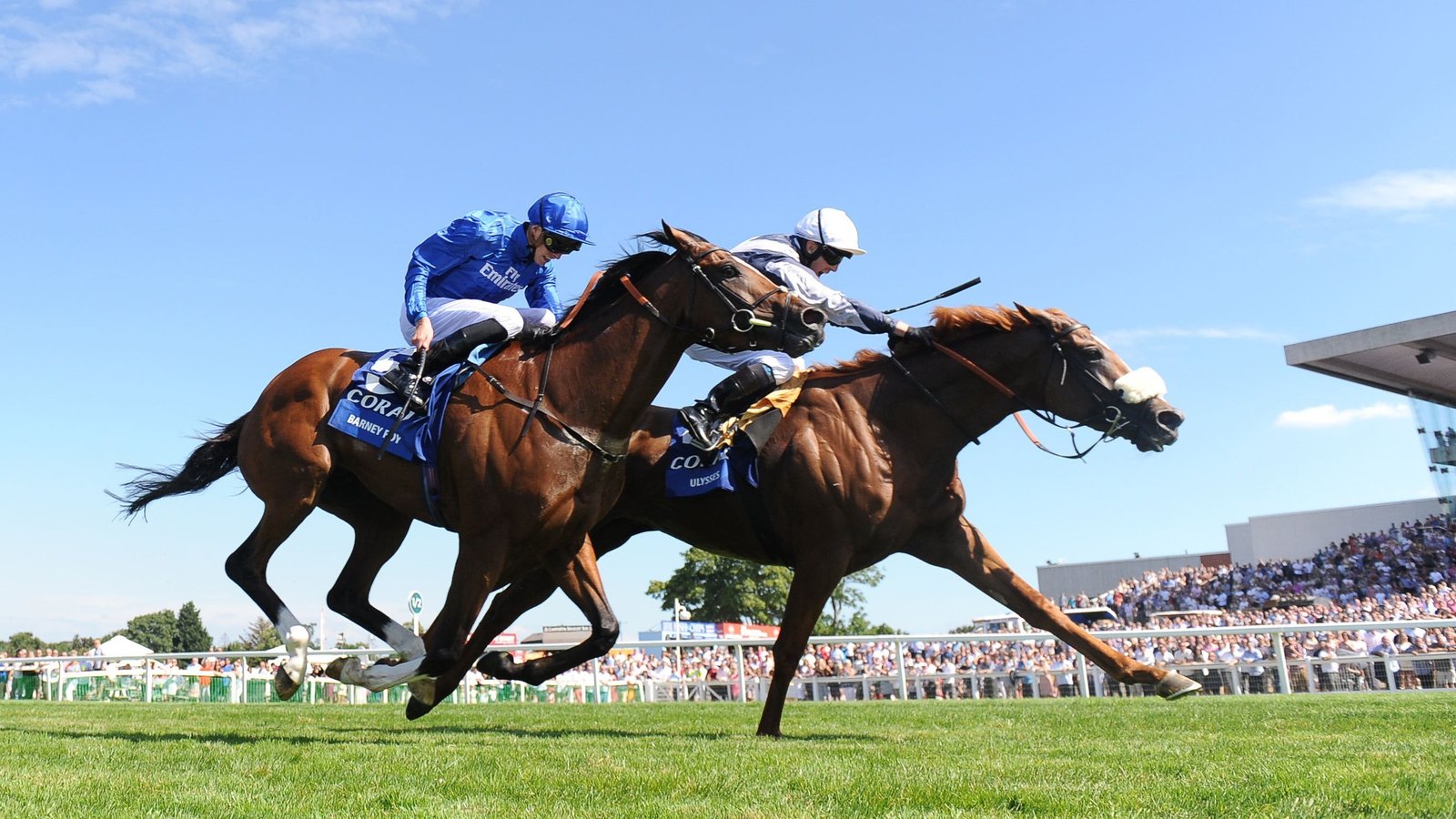 Mergulhe no mundo das corridas de cavalos de elite e apostas esportivas com nossos Jockey Clubs